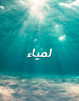 بوستات باسم لمياء 4