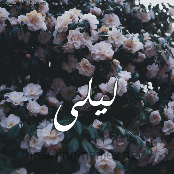 اسم ليلى مكتوب بالورد 4