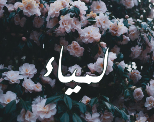 بوستات باسم لمياء 3