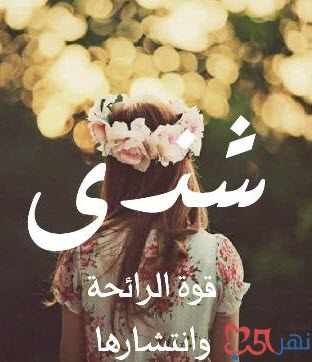 بيسيات عن شذى 5
