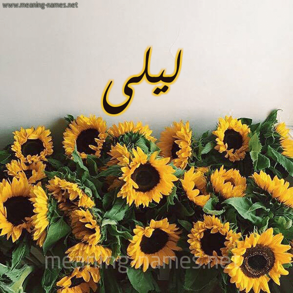 اسم ليلى مكتوب بالورد 5