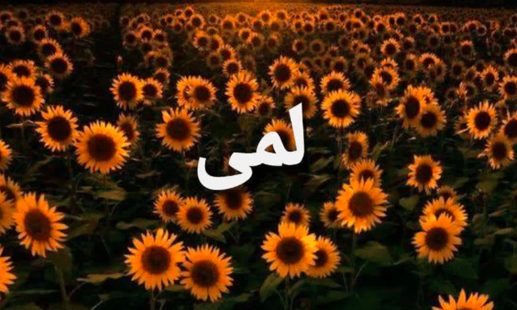 صفات حاملة اسم لمى