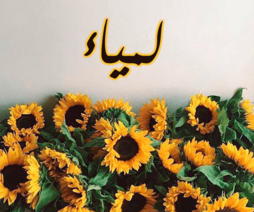 بوستات باسم لمياء 5