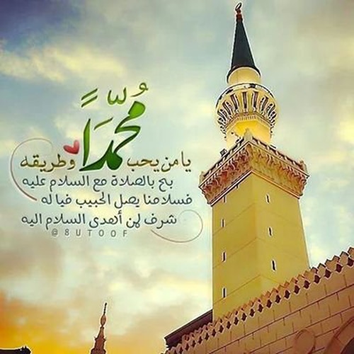 بوستات المولد النبوي 1