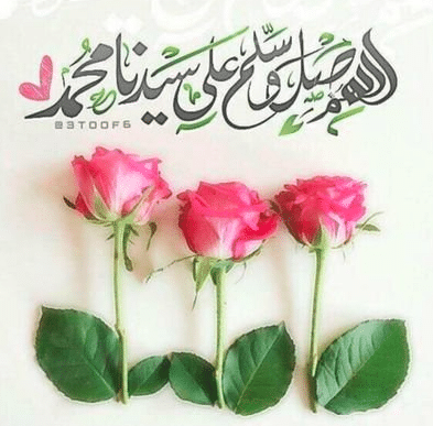 بوستات المولد النبوي 3