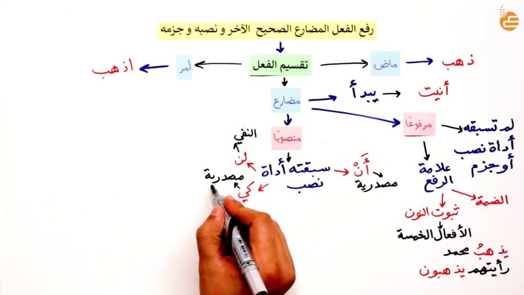 امثلة على رفع الفعل المضارع
