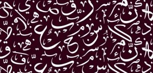 امثلة عن فعل مضارع مبني على السكون