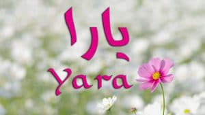 شعر باسم يارا