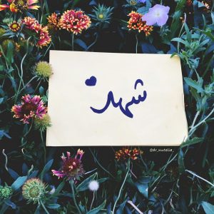شعر باسم شهد