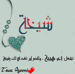 شعر باسم شيخه
