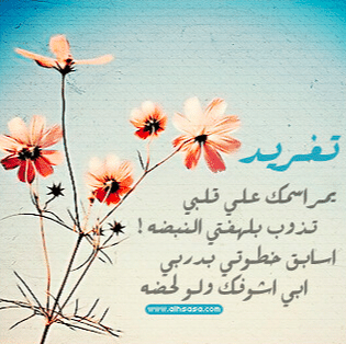 شعر باسم تغريد