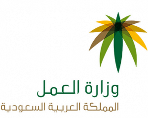 الاستعلام عن موظف وافد برقم الجواز