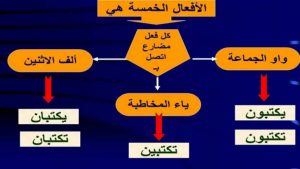 امثله على ثبوت النون