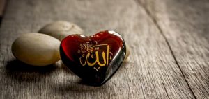 امثلة عن لام لفظ الجلالة