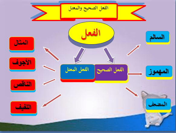 امثلة عن الفعل الصحيح والمعتل