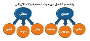 امثلة عن الفعل الصحيح والمعتل