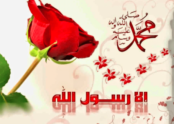 بوستات تهنئة بالمولد النبوي 2