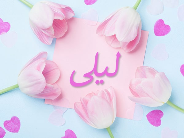 تفسير اسم ليلى