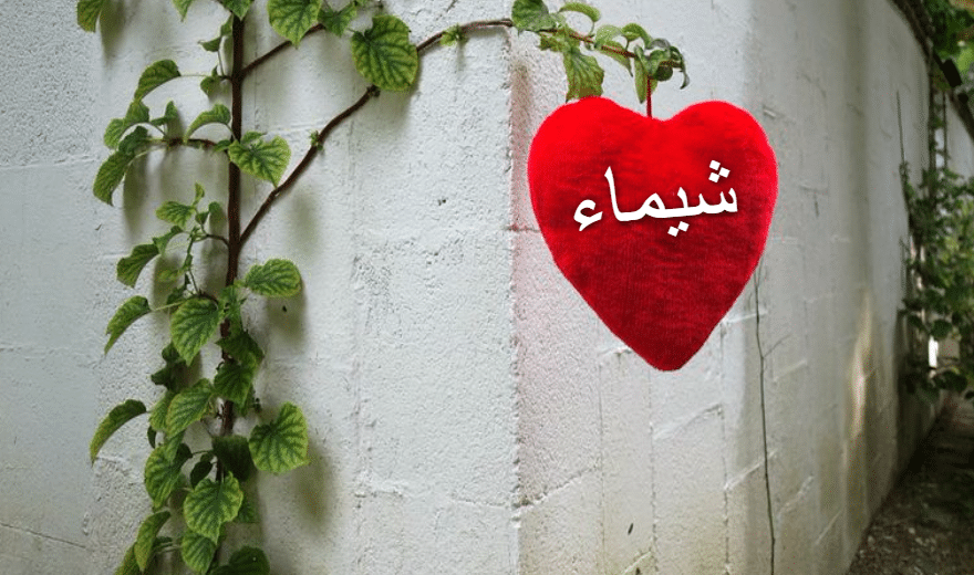عبارات حبيبتي شيماء