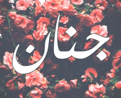 حكم التسمية باسم جنان