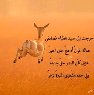 وصف الغزال في الشعر الجاهلي