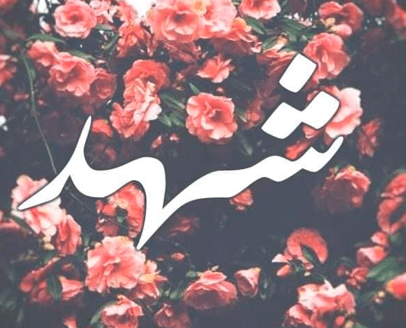 بوستات باسم شهد 1