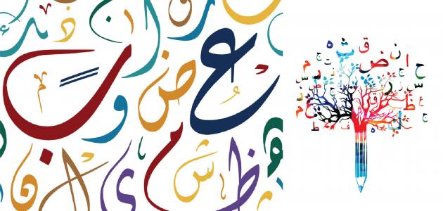 أمثلة على جمل مثبتة