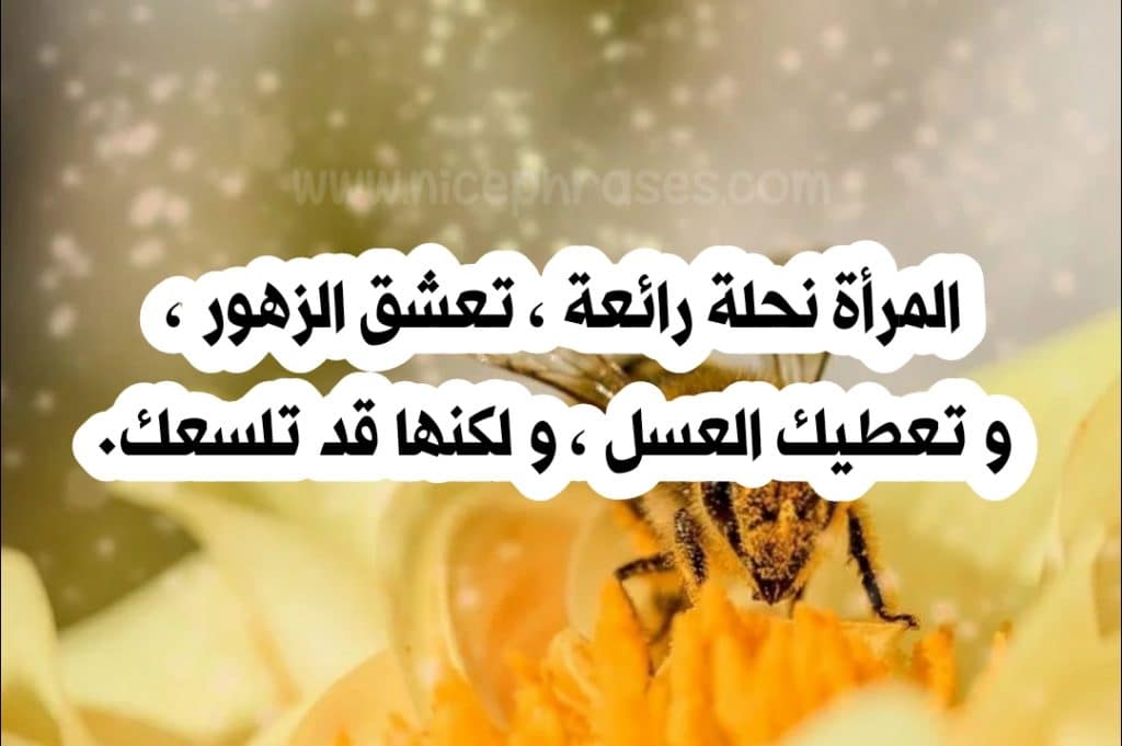 غزل عن العسل 