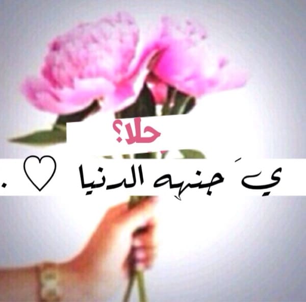 عبارات عن حلا
