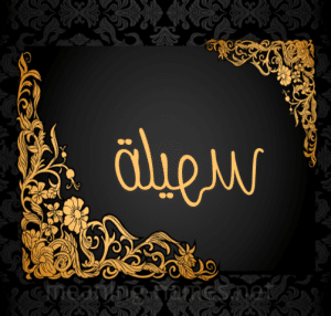 شعر باسم سهيلة