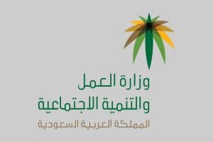 استعلام عن نطاق المؤسسة