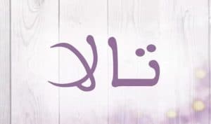 شعر باسم تالا