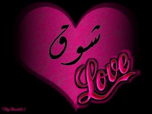 شعر باسم شوق