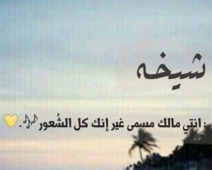 شعر باسم شيخه