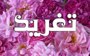 شعر باسم تغريد
