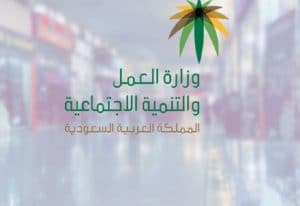 استعلام عن منشأة برقم السجل
