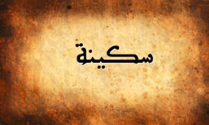 شعر باسم سكينة