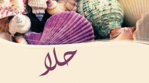 شعر باسم حلا