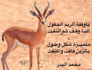 غزل عن الغزال