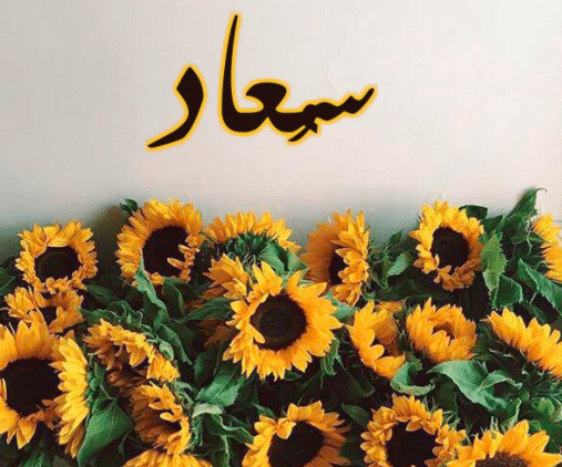 قصيدة (عادت سعاد)