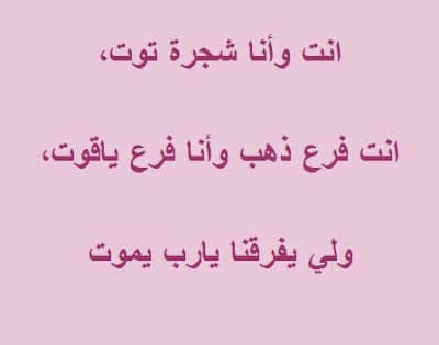 غزل رخيص مضحك هل أنت
