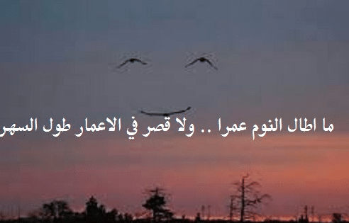 كلام عن السهر