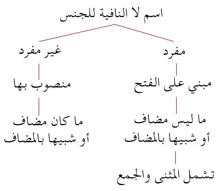 امثلة عن لا النافية للجنس