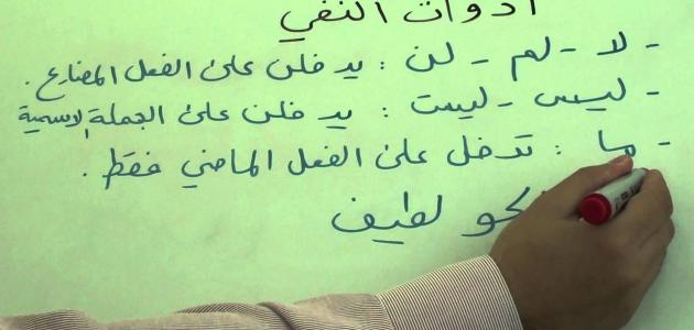 امثلة عن ليس
