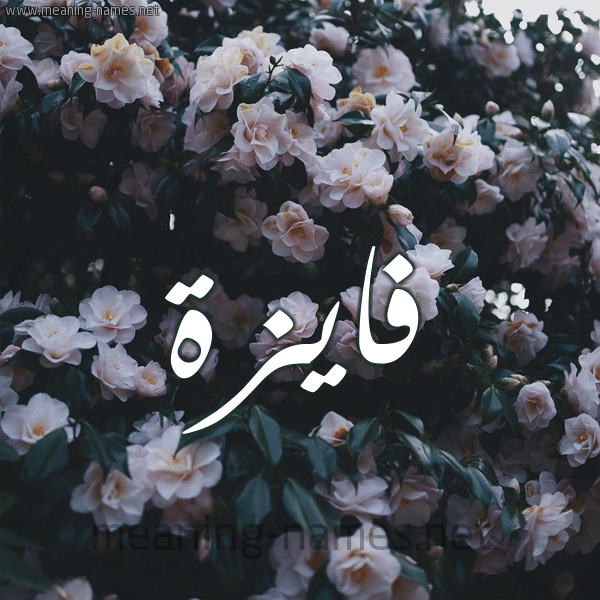 خلفيات باسم فايزة 5