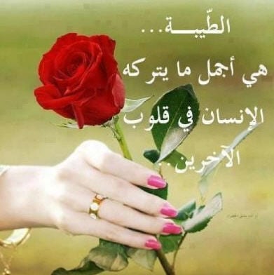 شعر عن صفاء القلوب