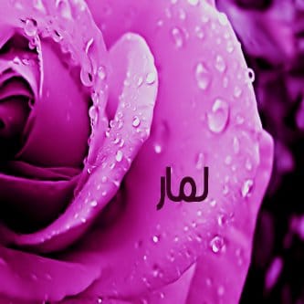 دلع اسم لمار 