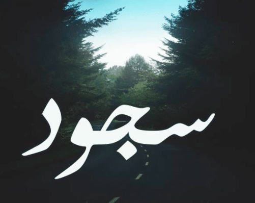 شعر عن اسم سجود