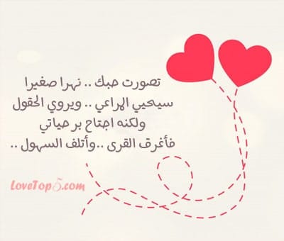 شعر في حبها