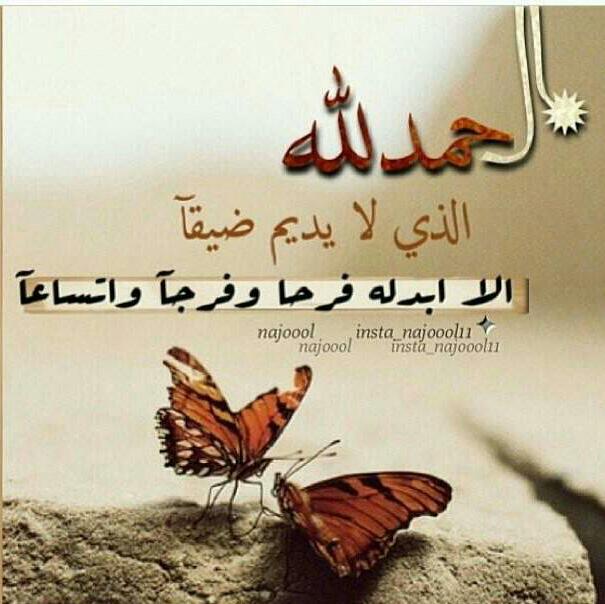 عبارات عن السجين تويتر 1